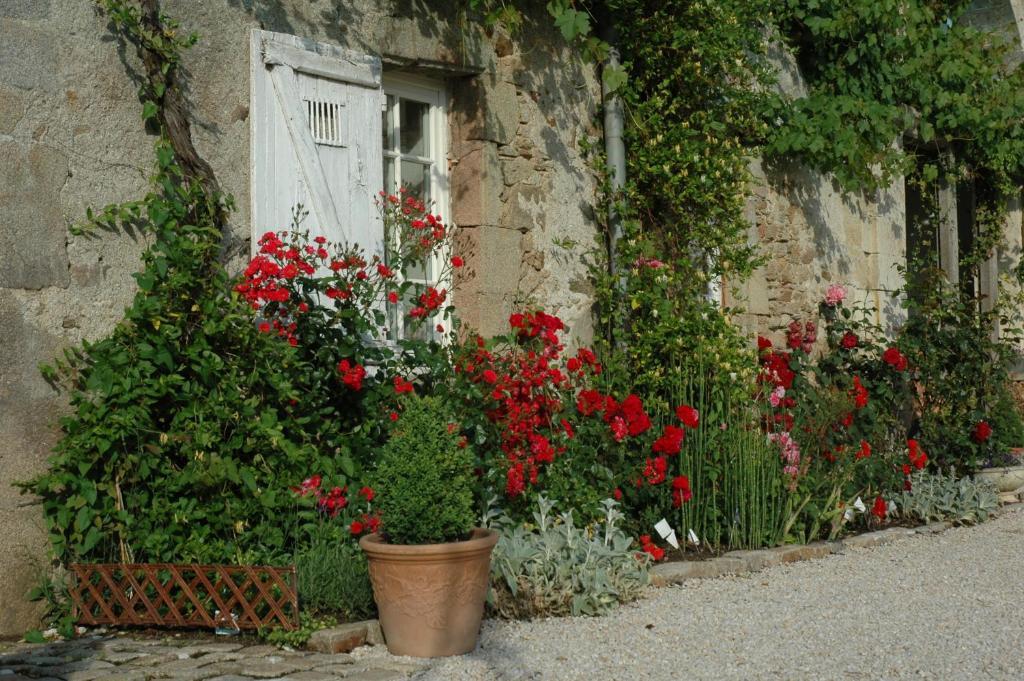 Chateau De L'Oiseliniere Bed & Breakfast Gorges  Bagian luar foto