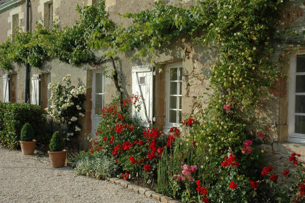 Chateau De L'Oiseliniere Bed & Breakfast Gorges  Bagian luar foto