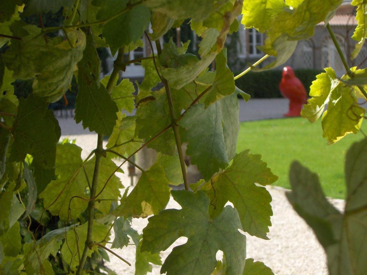 Chateau De L'Oiseliniere Bed & Breakfast Gorges  Bagian luar foto